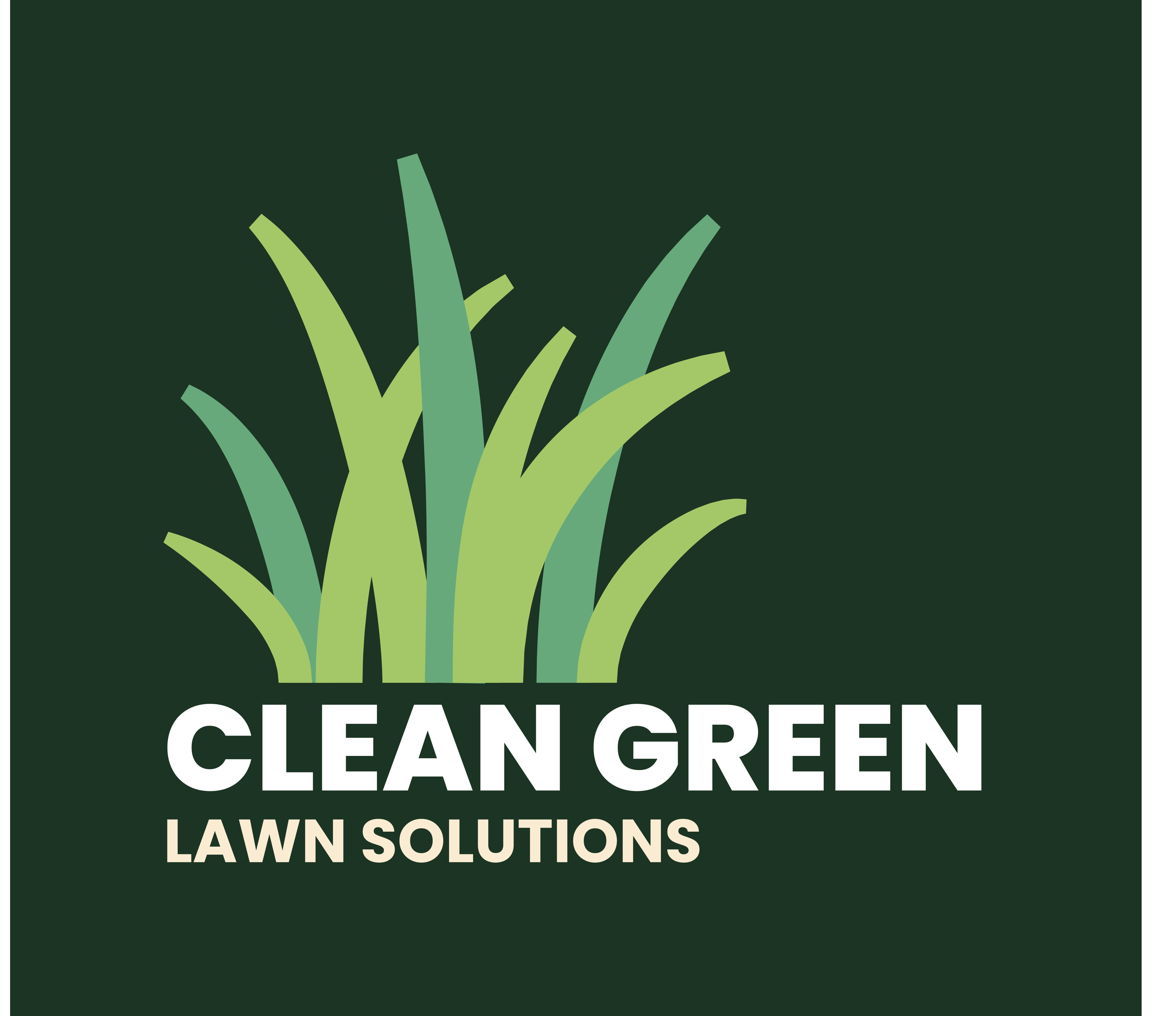 clean green lawn solutions